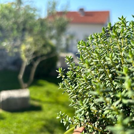 Ferienwohnung Va Kastav Exterior foto