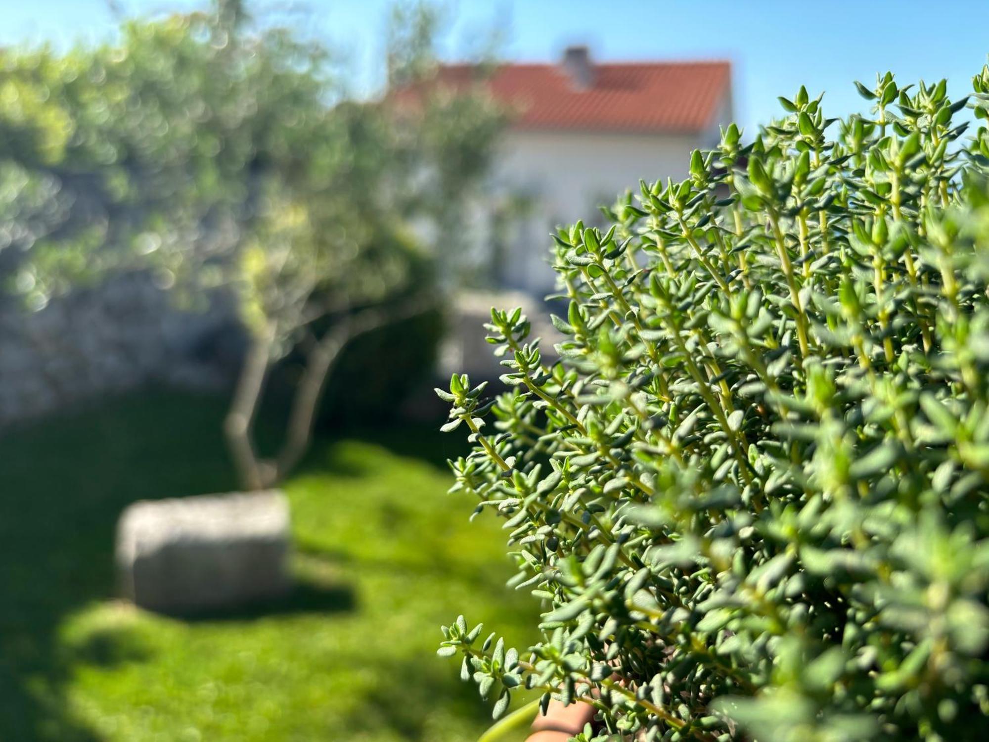 Ferienwohnung Va Kastav Exterior foto