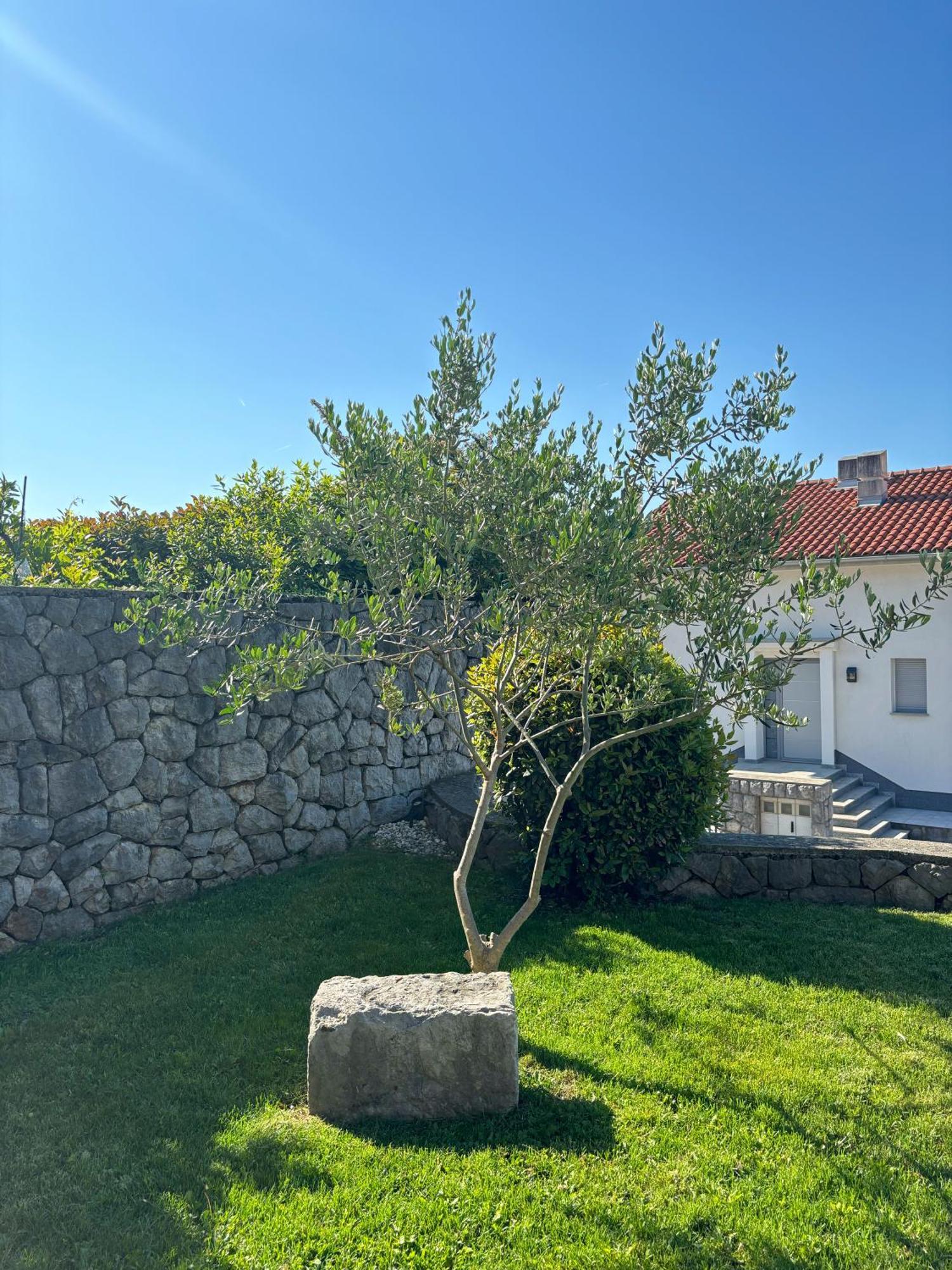 Ferienwohnung Va Kastav Exterior foto